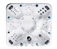 Спа бассейн Fonteyn Spas The Joy Спа бассейн Fonteyn Spas The Joy